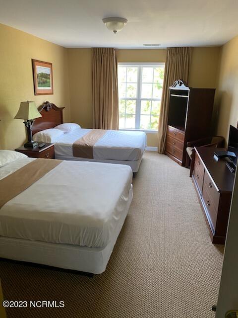 490 Little River Farm Boulevard, Unit A 201 Carthage, NC 28327 - Photo 10 of 19 BR