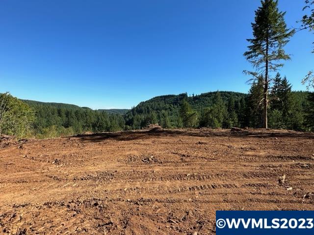 526258 Southwest Pumpkinseed Road Willamina, OR 97396 - Photo 14 of 24