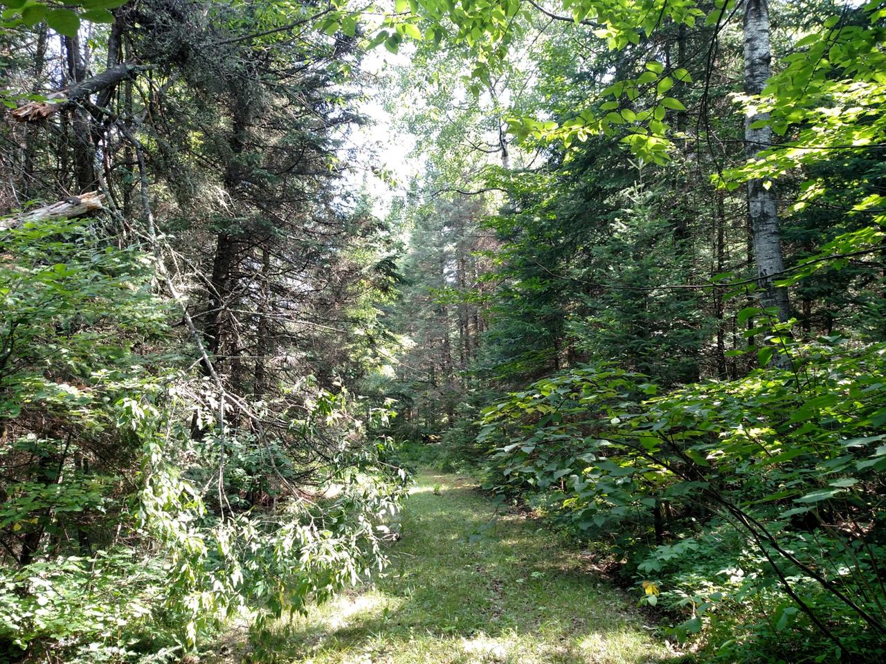 N15891 Eagle Road Butternut, WI 54514 - Photo 25 of 76 Gallery Image 25
