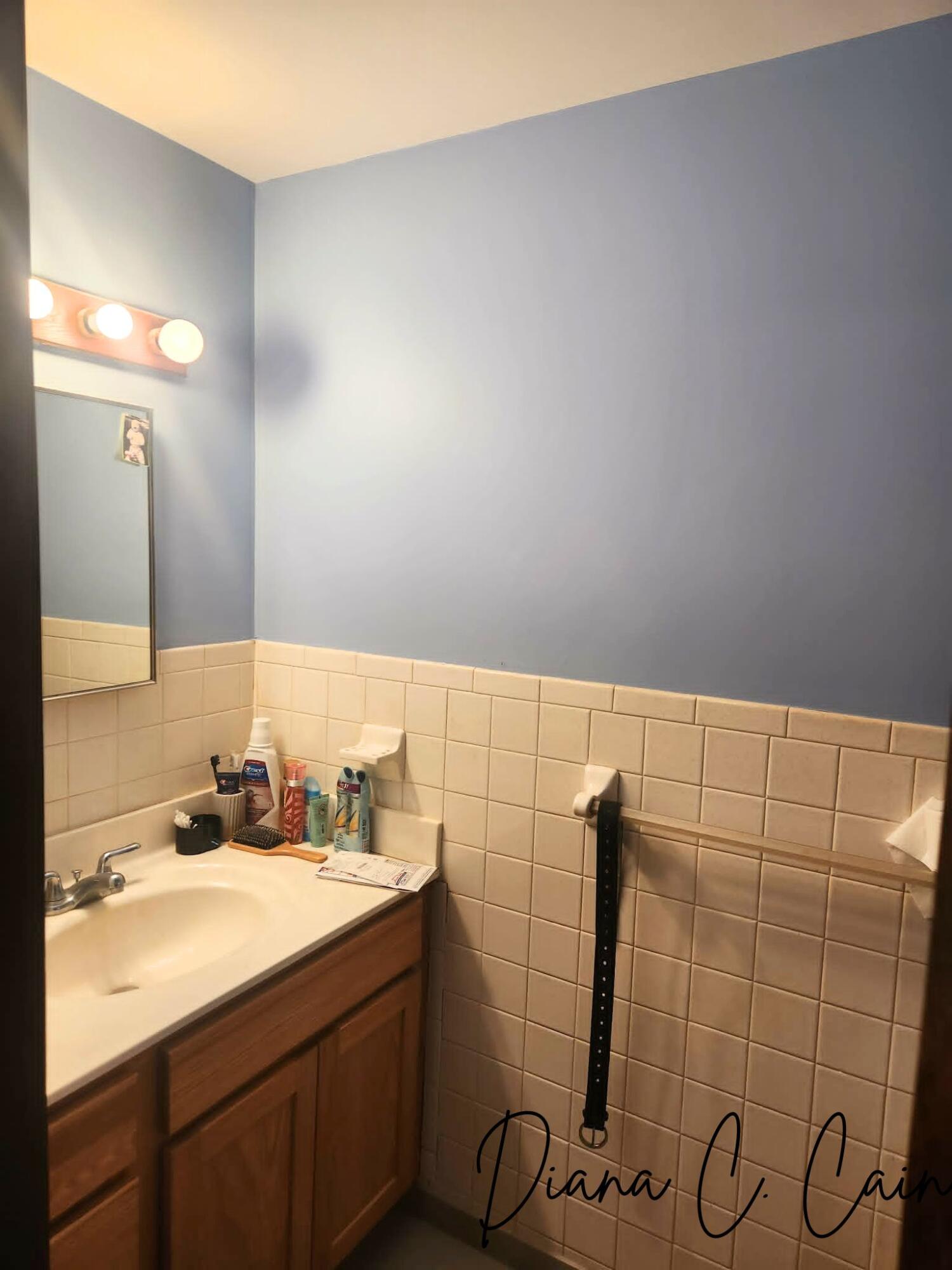 123 Riverside Drive Hart, MI 49420 - Photo 11 of 24 Half Bath off Primary