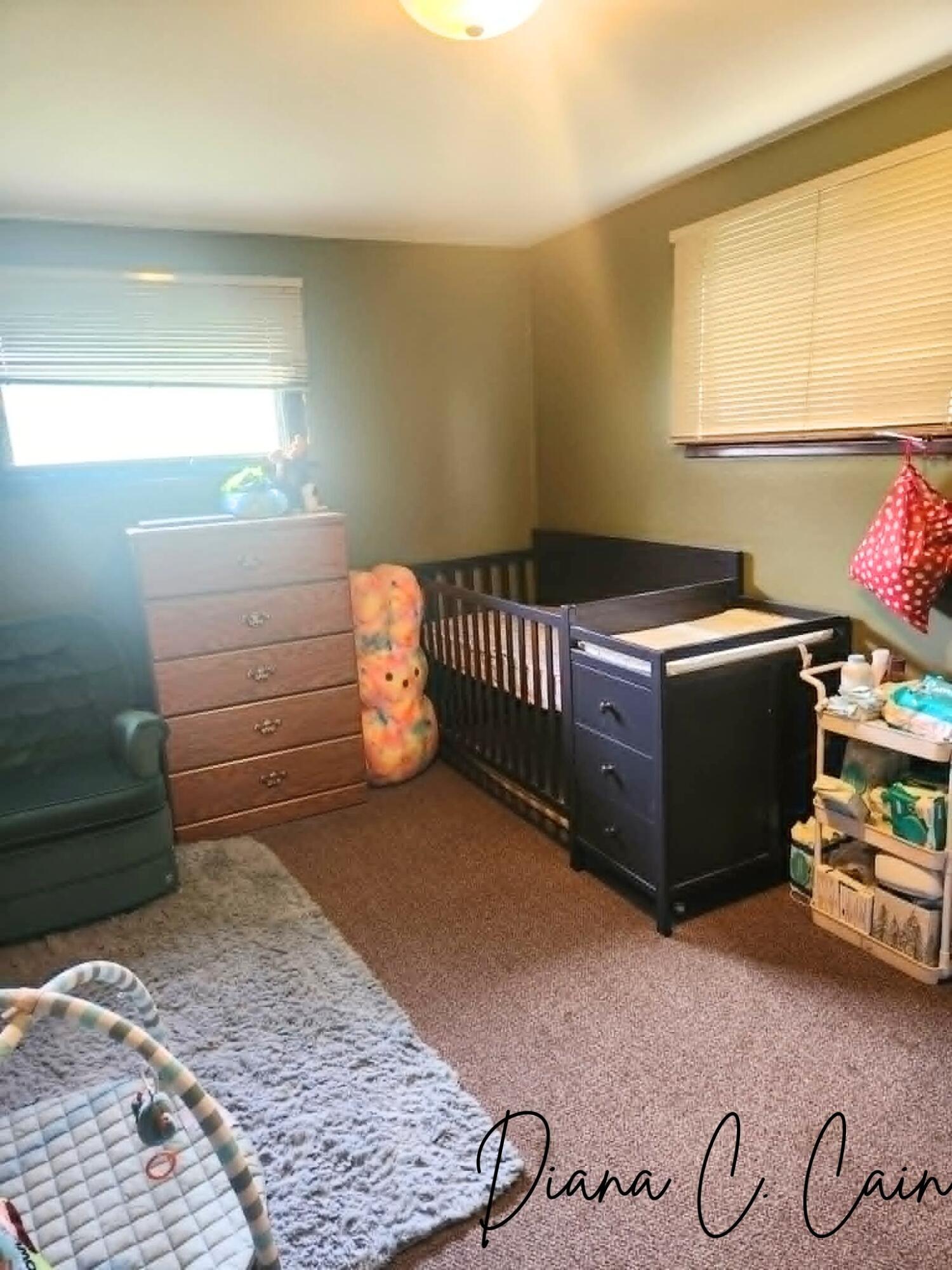 123 Riverside Drive Hart, MI 49420 - Photo 13 of 24 Bedroom #2 - Nursery