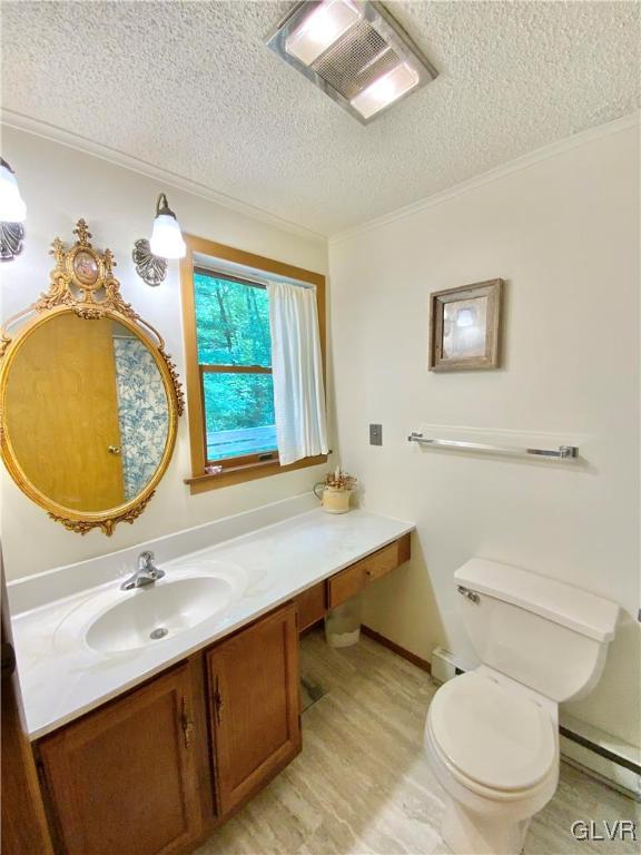 419 Merwinsburg Road Effort, PA 18330 - Photo 18 of 32 a bathroom with a toilet a sink and a mirror