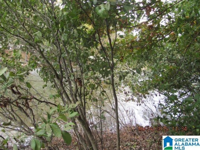 0 Lake Tate Road, Unit 38 Sylacauga, AL 35151 - Photo 5 of 11