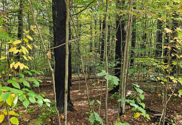 $178,000 | 586-c-4 Craney Hill Road, Henniker, NH 03242