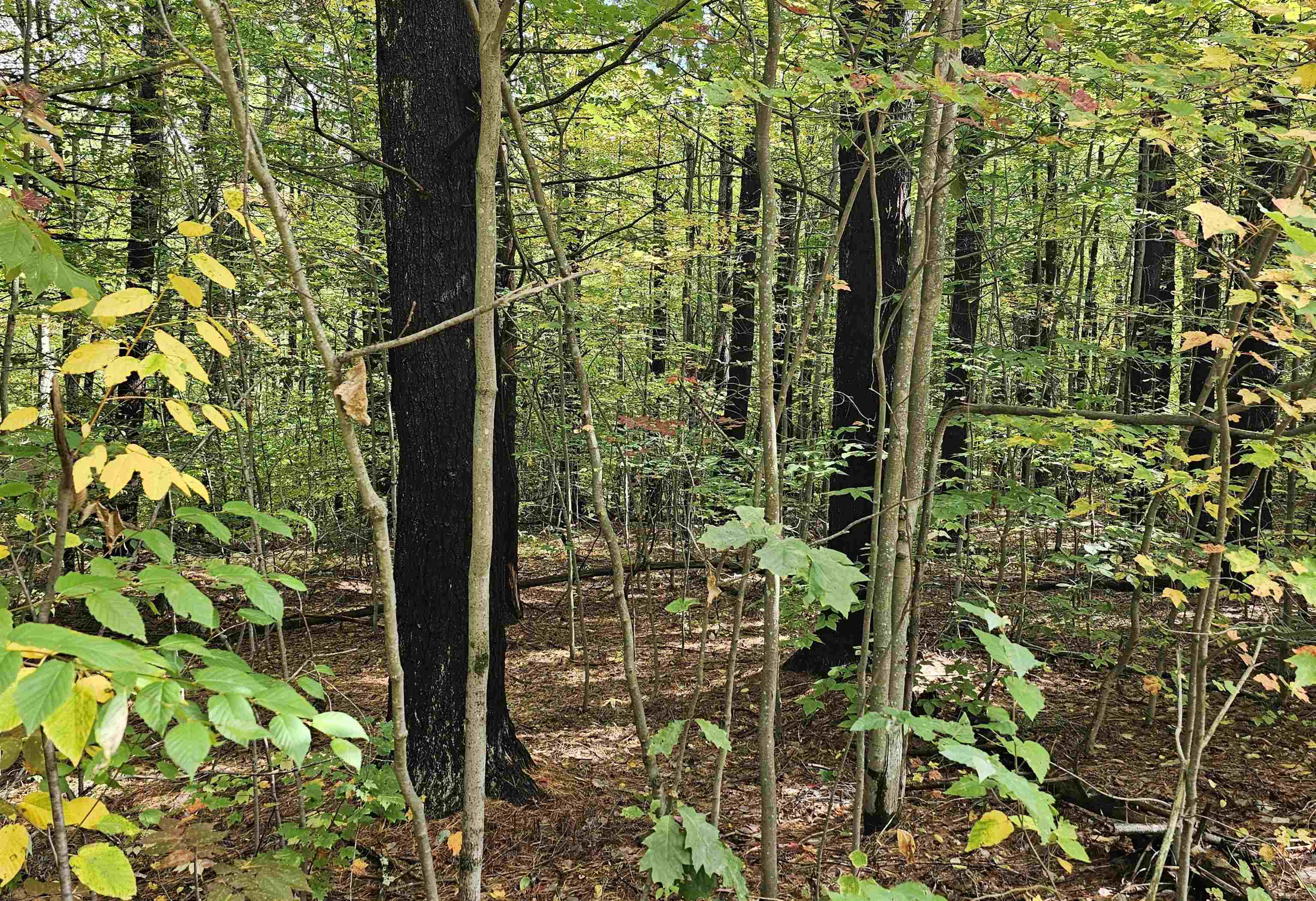 586-c-4 Craney Hill Road Henniker, NH 03242 - Photo 2 of 5