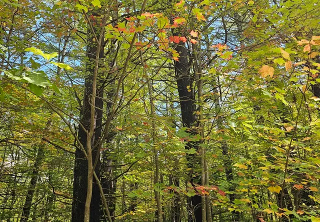 $178,000 | 586-c-4 Craney Hill Road, Henniker, NH 03242