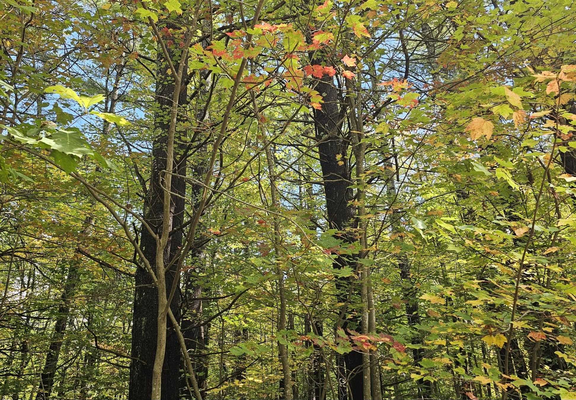 586-c-4 Craney Hill Road Henniker, NH 03242 - Photo 4 of 5