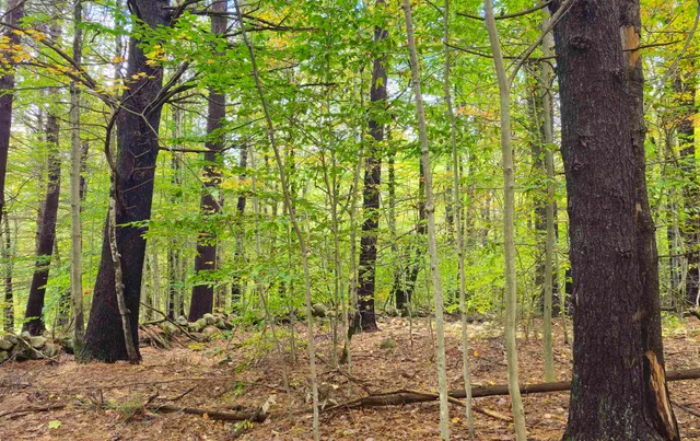 $178,000 | 586-c-4 Craney Hill Road, Henniker, NH 03242