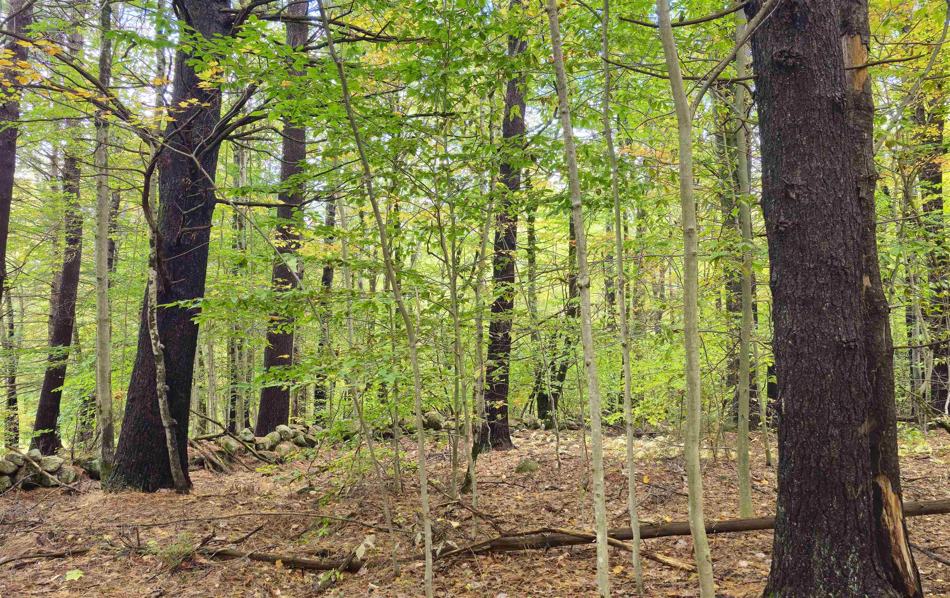 586-c-4 Craney Hill Road Henniker, NH 03242 - Photo 5 of 5