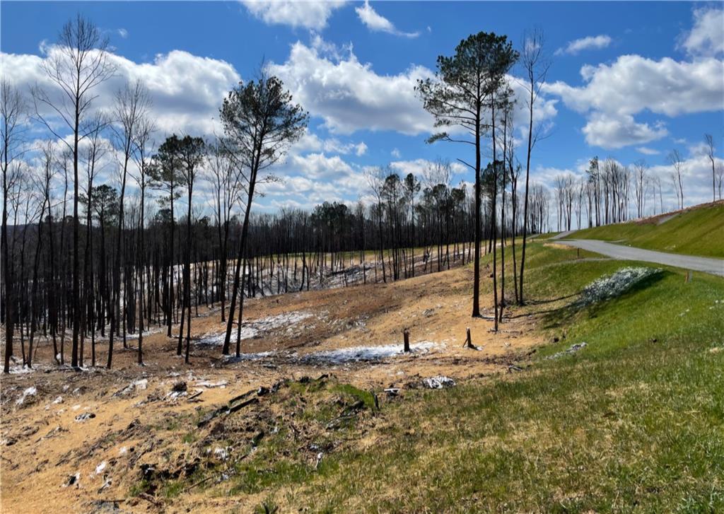 135 Twisted Oak Road Talking Rock, GA 30175 - Photo 11 of 27 a view of a park with large trees