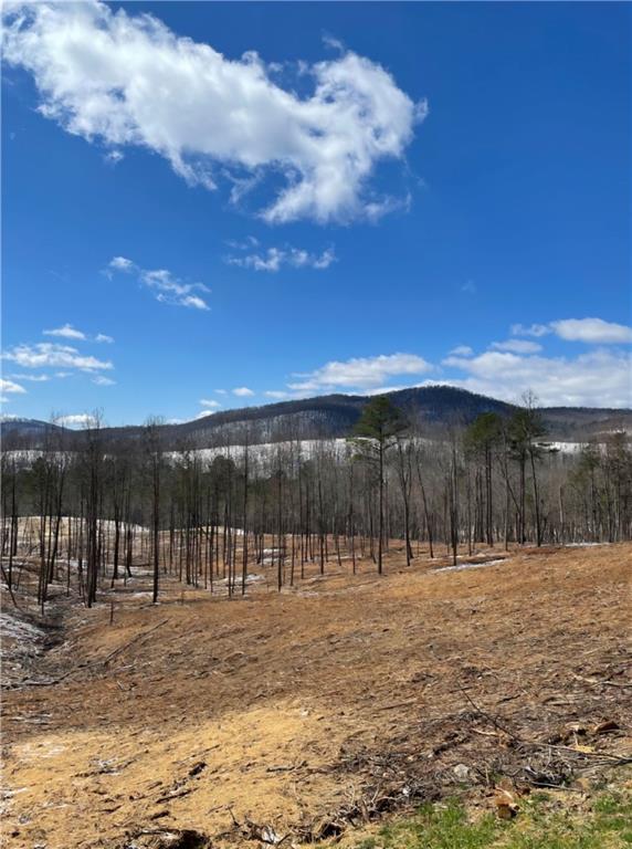 135 Twisted Oak Road Talking Rock, GA 30175 - Photo 17 of 27 a view of a yard