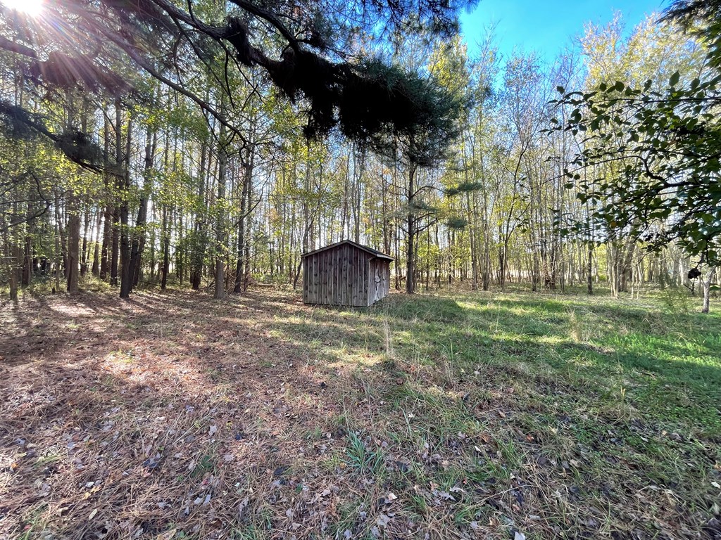 8-acres Redwood Road Onancock, VA 23417 - Photo 14 of 28