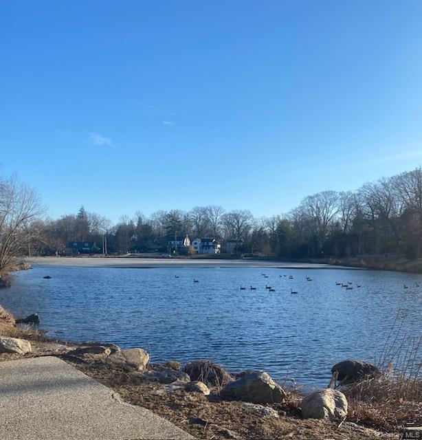 42 Crestview Street New Rochelle, NY 10801 - Photo 4 of 8 Enjoy a walk around nearby Beechmont Lake.