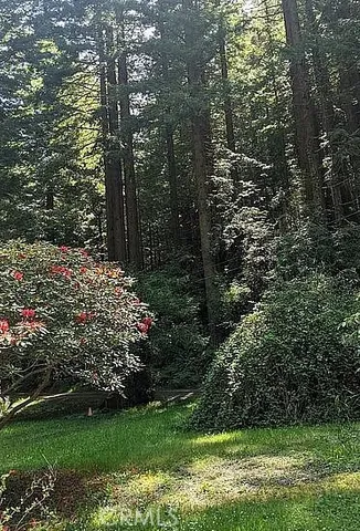 a view of a large yard with lots of green space and fountain