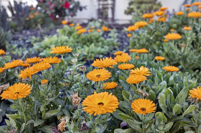 a view of a livingroom with furniture and wooden floor