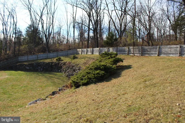 a view of a yard with tree s