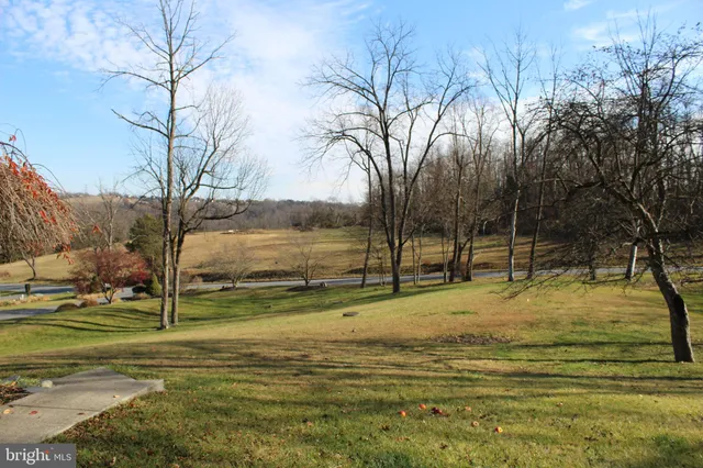 a view of a yard with a tree