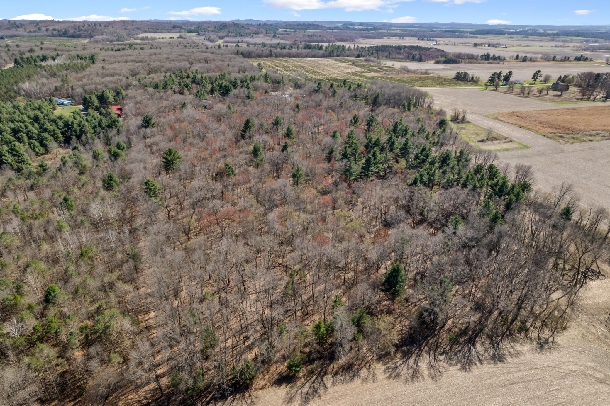 Tbd Montgomery Road Hixton, WI 54635 - Photo 11 of 19