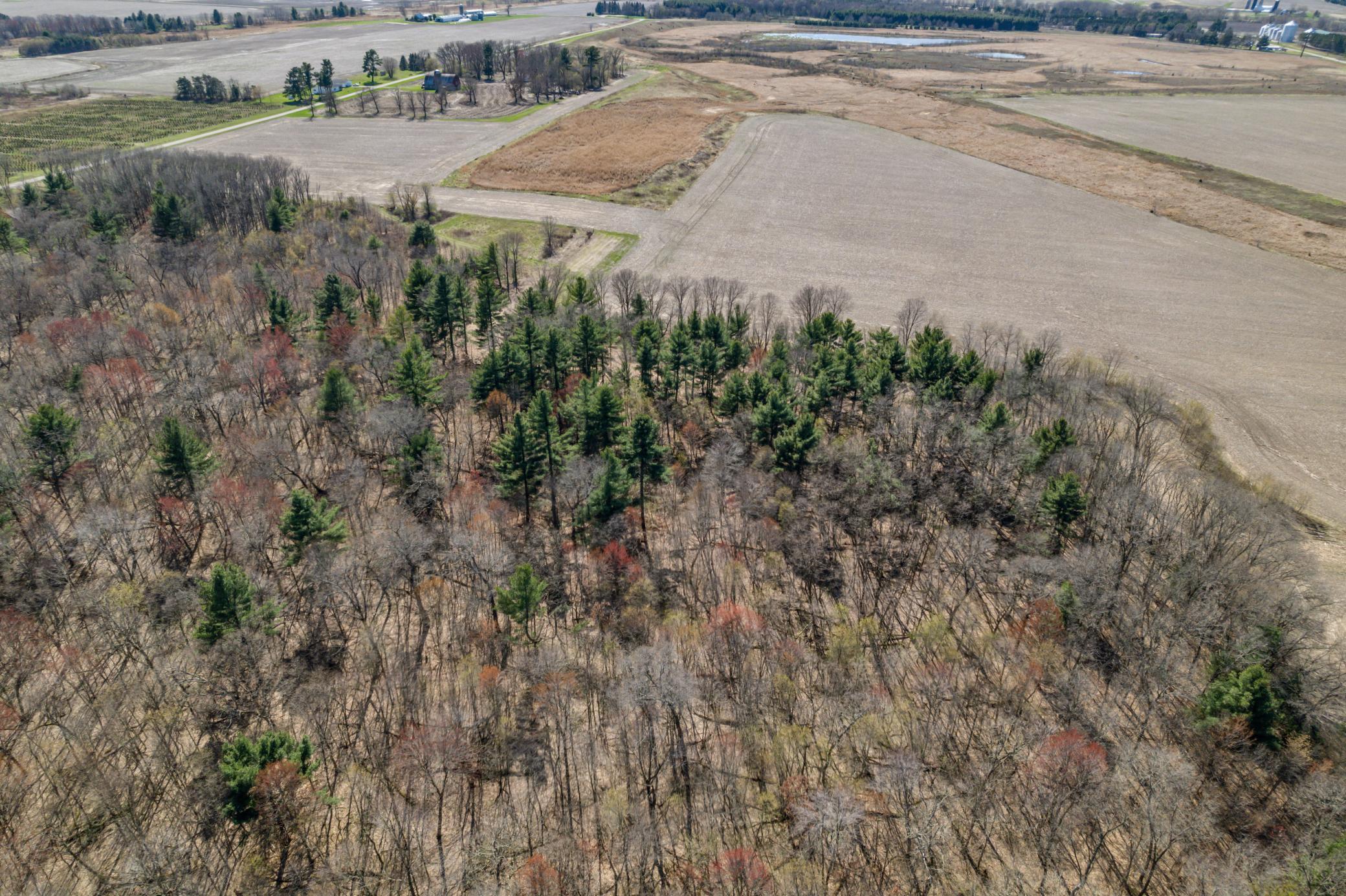 Tbd Montgomery Road Hixton, WI 54635 - Photo 12 of 19