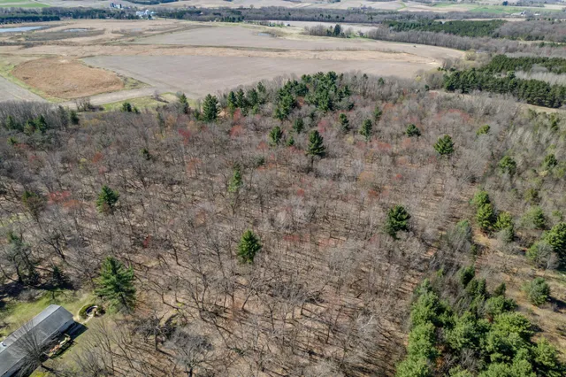 $60,000 | Tbd Montgomery Road, Hixton, WI 54635