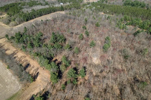 $60,000 | Tbd Montgomery Road, Hixton, WI 54635