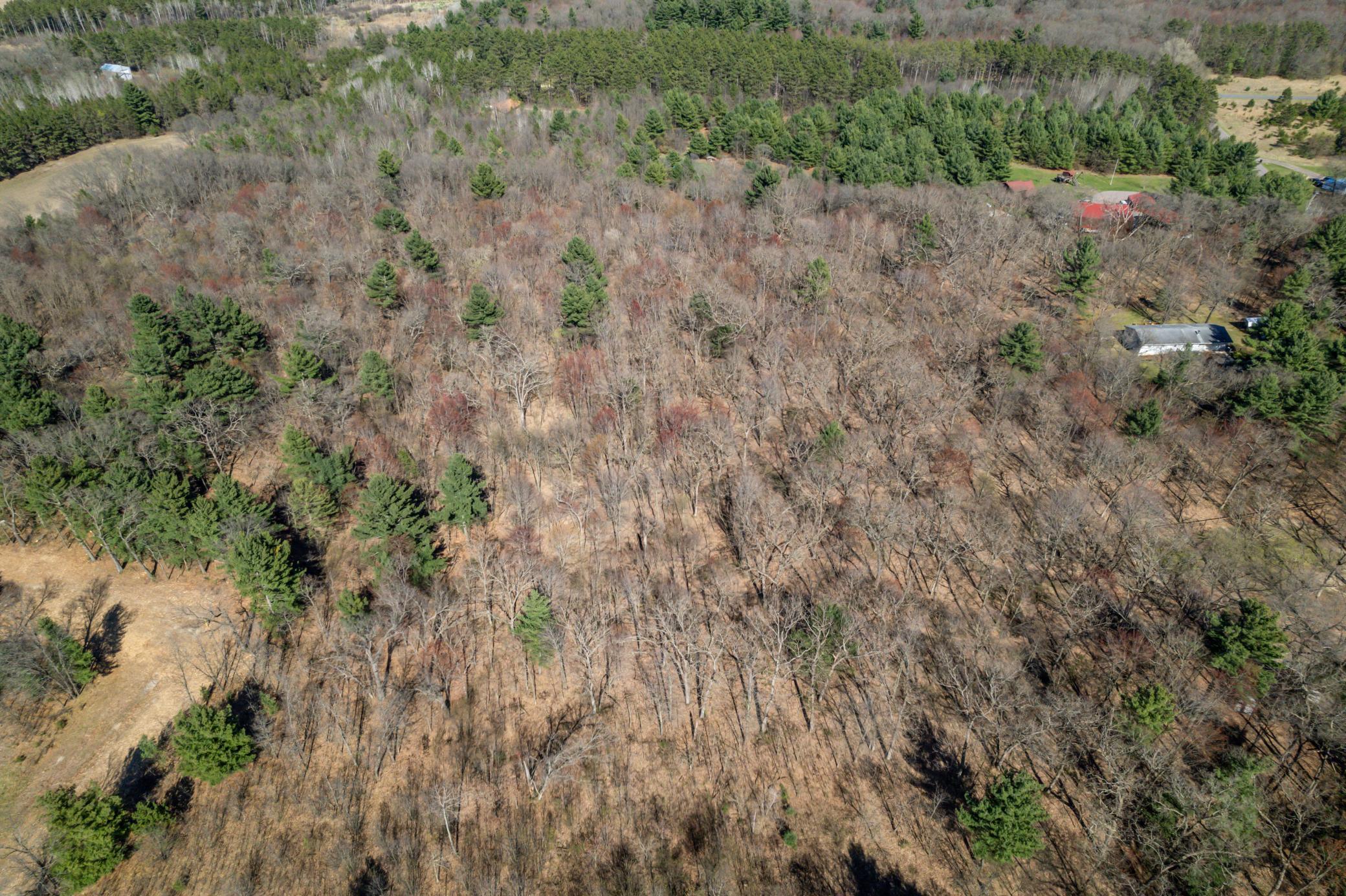 Tbd Montgomery Road Hixton, WI 54635 - Photo 7 of 19