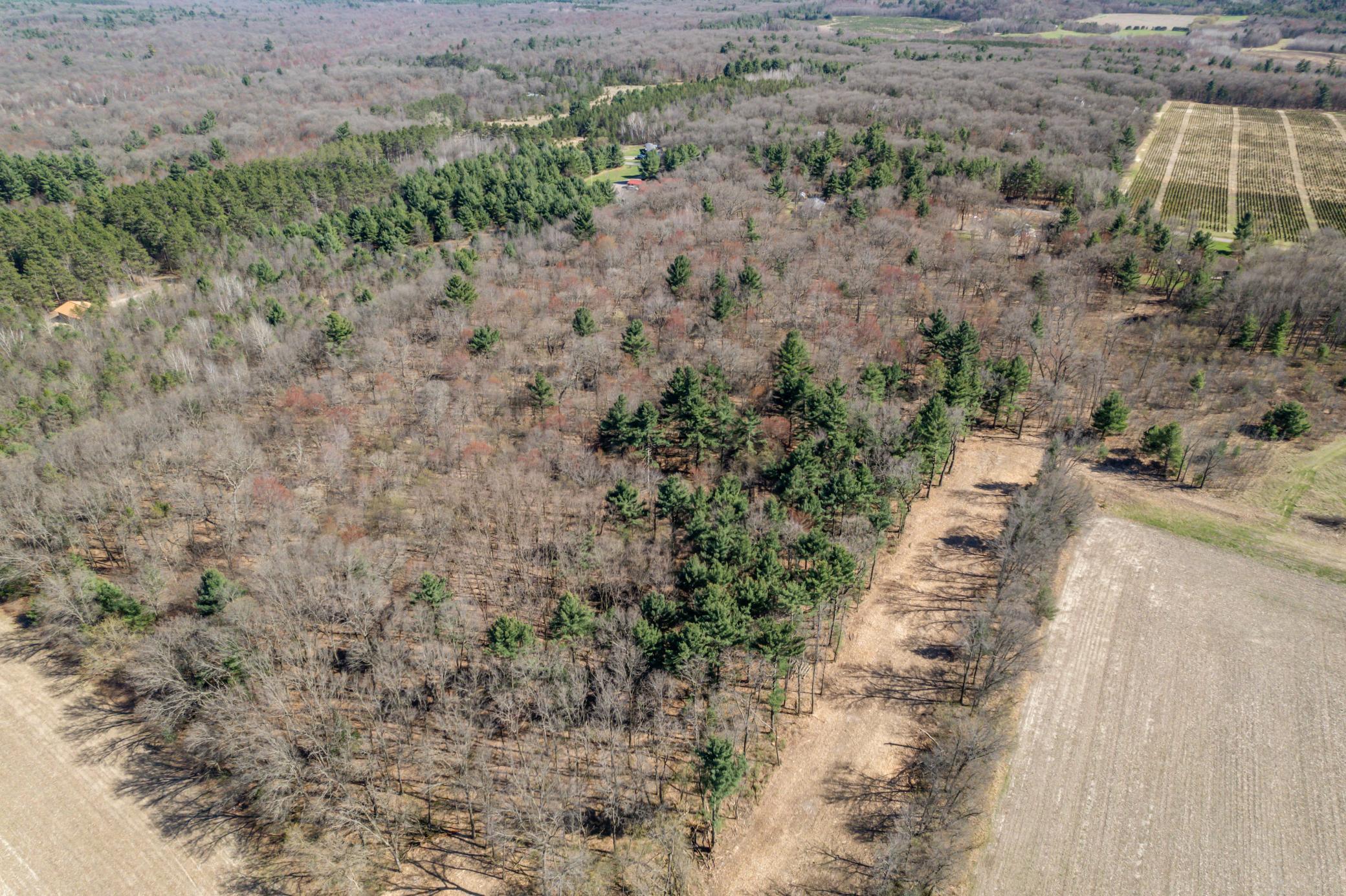 Tbd Montgomery Road Hixton, WI 54635 - Photo 8 of 19