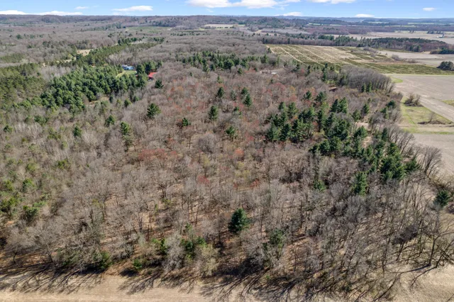 $60,000 | Tbd Montgomery Road, Hixton, WI 54635