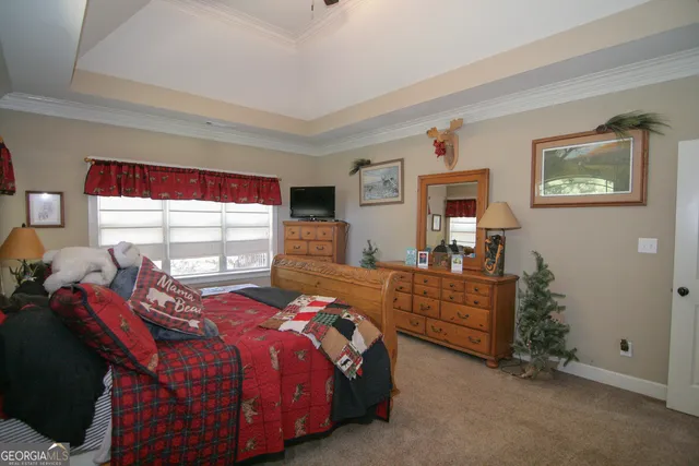 $625,000 | 25 Magnolia Pl Court, Senoia, GA 30276