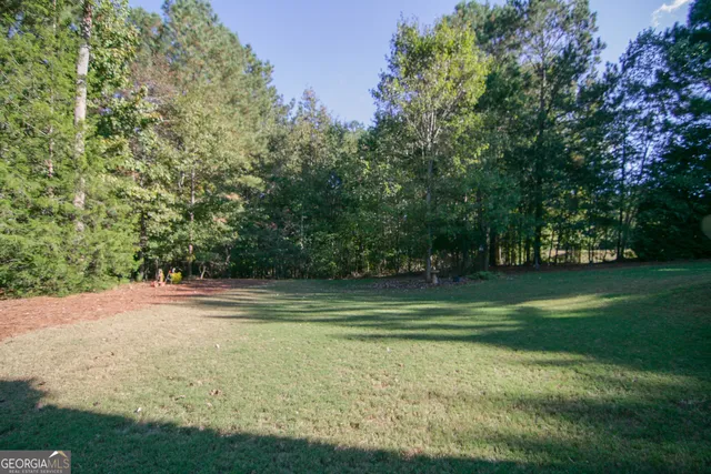 $625,000 | 25 Magnolia Pl Court, Senoia, GA 30276