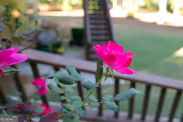 $625,000 | 25 Magnolia Pl Court, Senoia, GA 30276