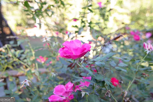 $625,000 | 25 Magnolia Pl Court, Senoia, GA 30276