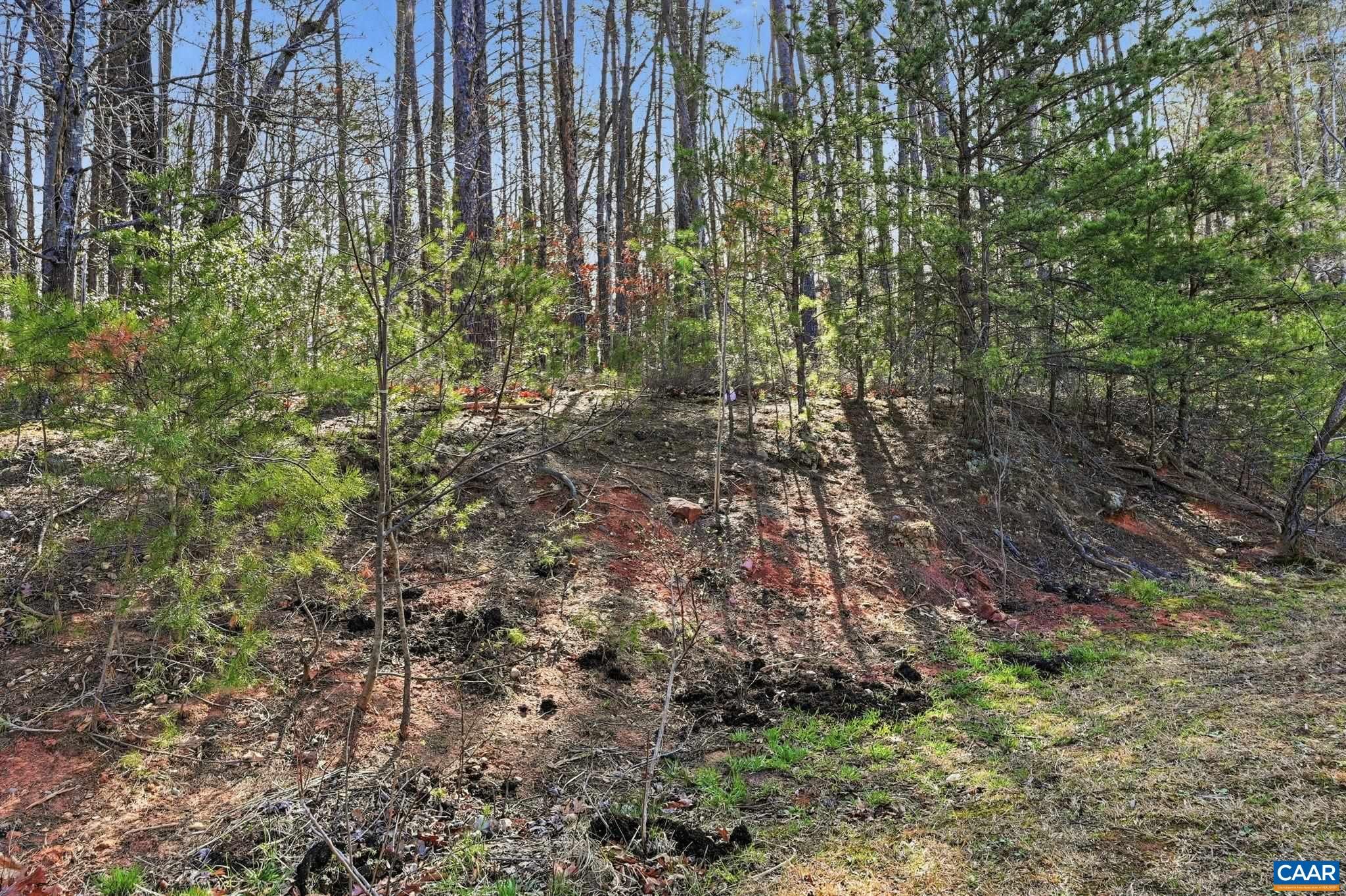 335 Cardinal Road Louisa, VA 23093 - Photo 46 of 66