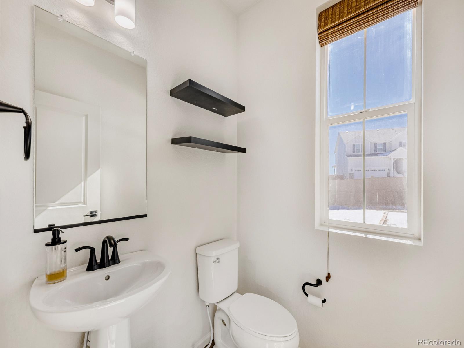 2039 Peachleaf Loop Castle Rock, CO 80108 - Photo 13 of 32