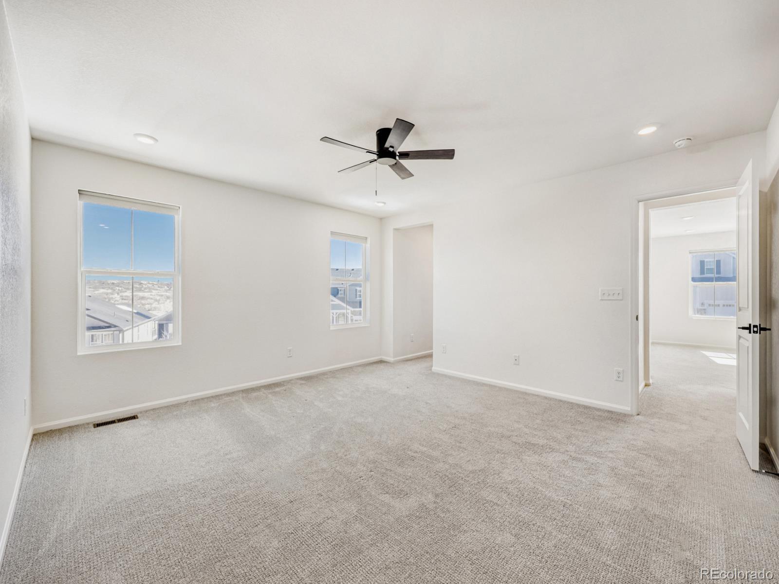 2039 Peachleaf Loop Castle Rock, CO 80108 - Photo 16 of 32