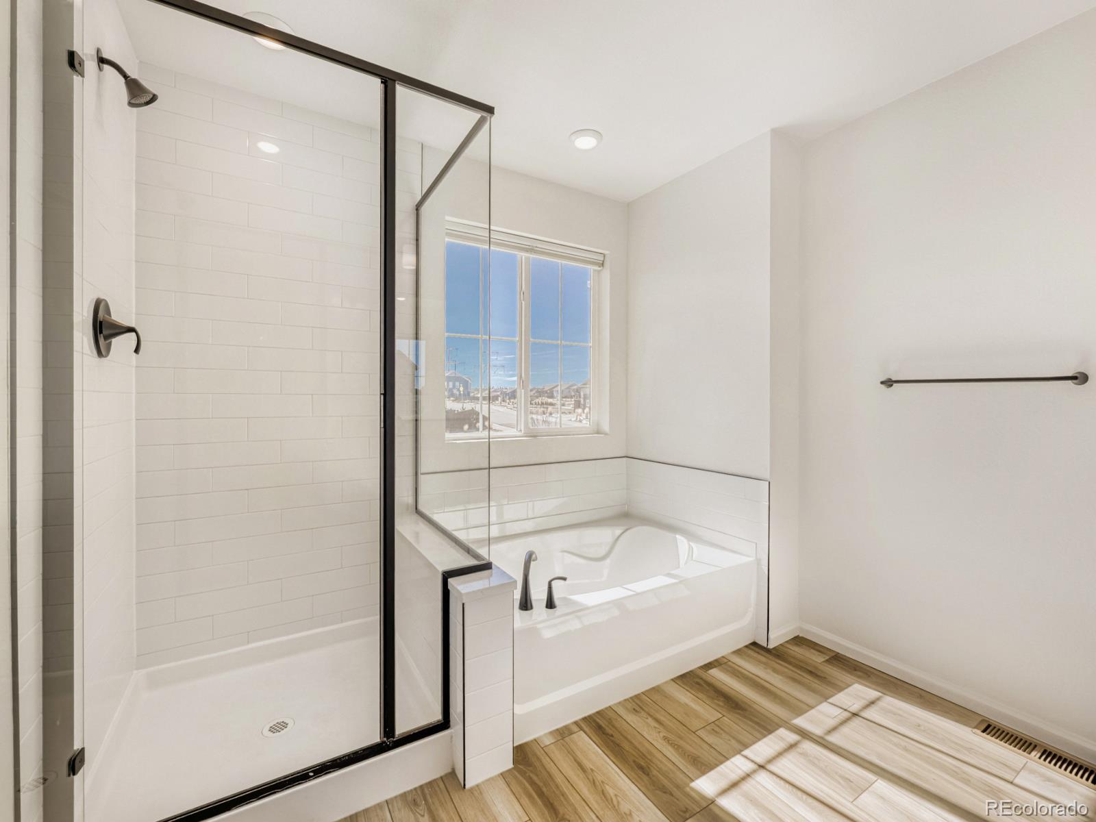 2039 Peachleaf Loop Castle Rock, CO 80108 - Photo 18 of 32