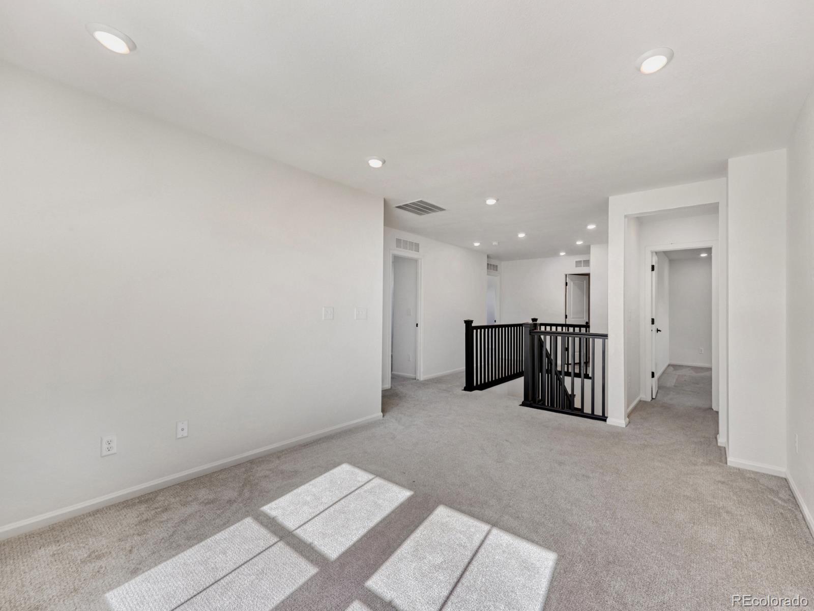 2039 Peachleaf Loop Castle Rock, CO 80108 - Photo 21 of 32