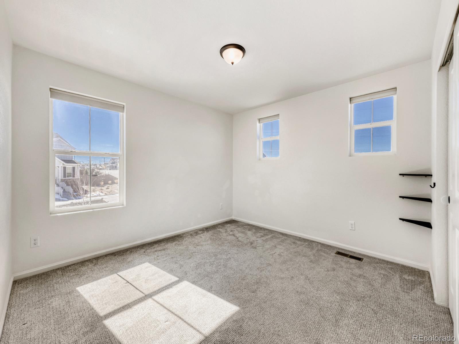 2039 Peachleaf Loop Castle Rock, CO 80108 - Photo 22 of 32