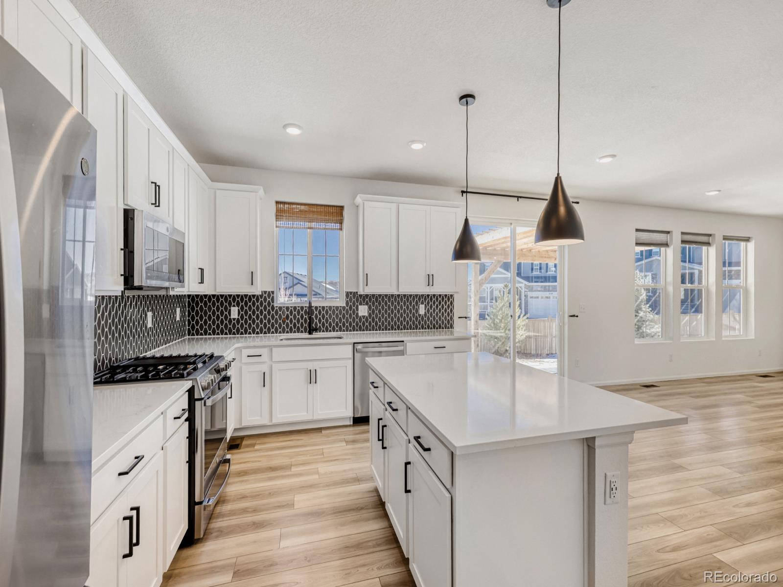 2039 Peachleaf Loop Castle Rock, CO 80108 - Photo 5 of 32