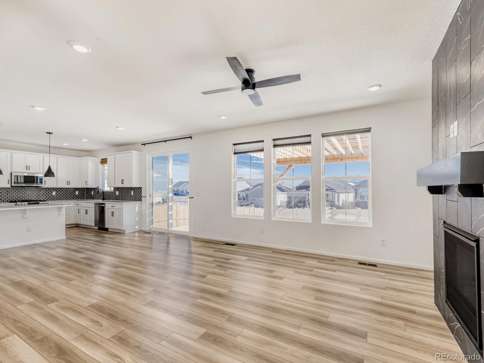 2039 Peachleaf Loop Castle Rock, CO 80108 - Photo 10 of 32