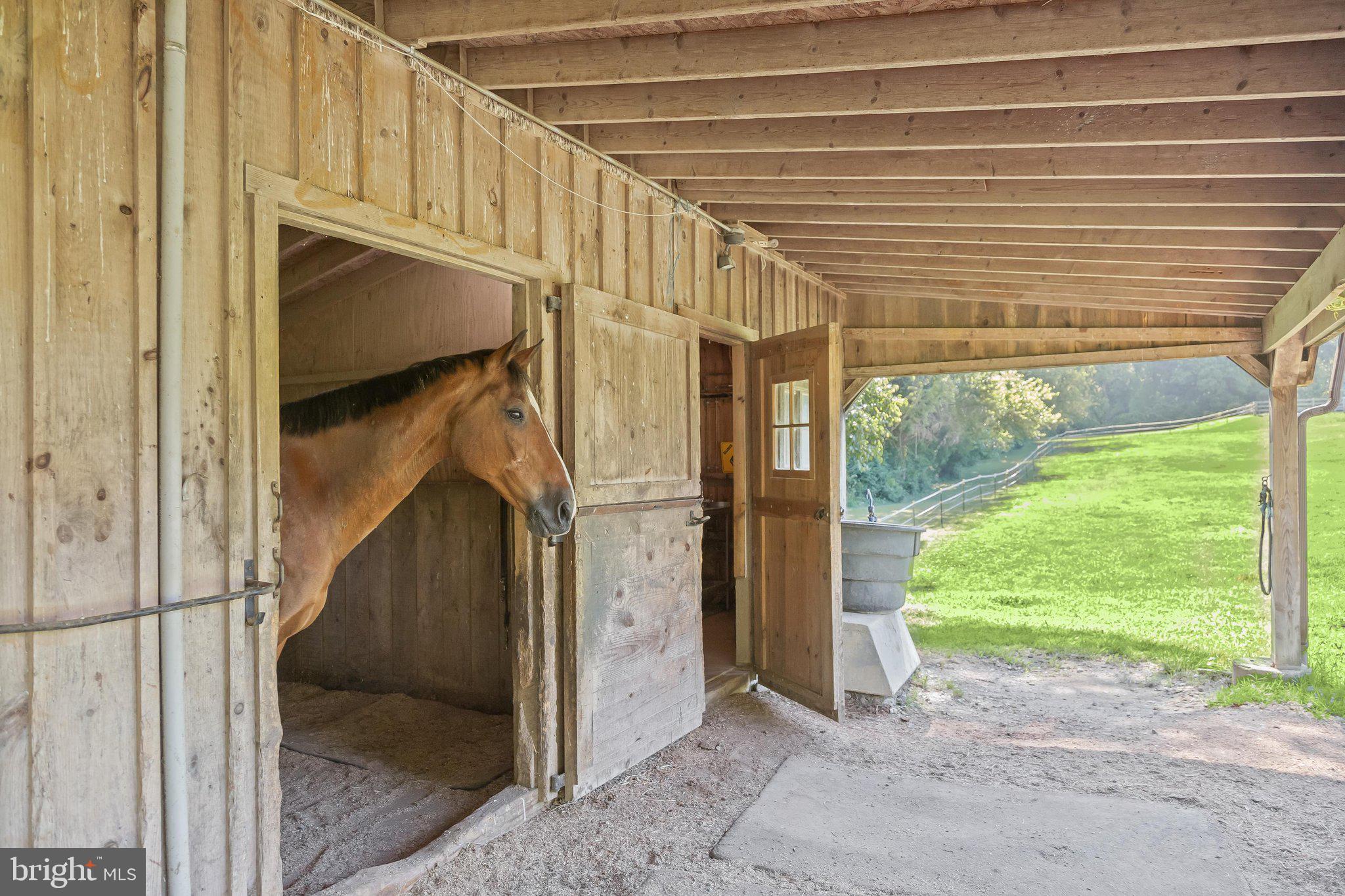 16510 Batchellors Forest Road Olney, MD 20832 - Photo 68 of 107 Large Dutch Doors