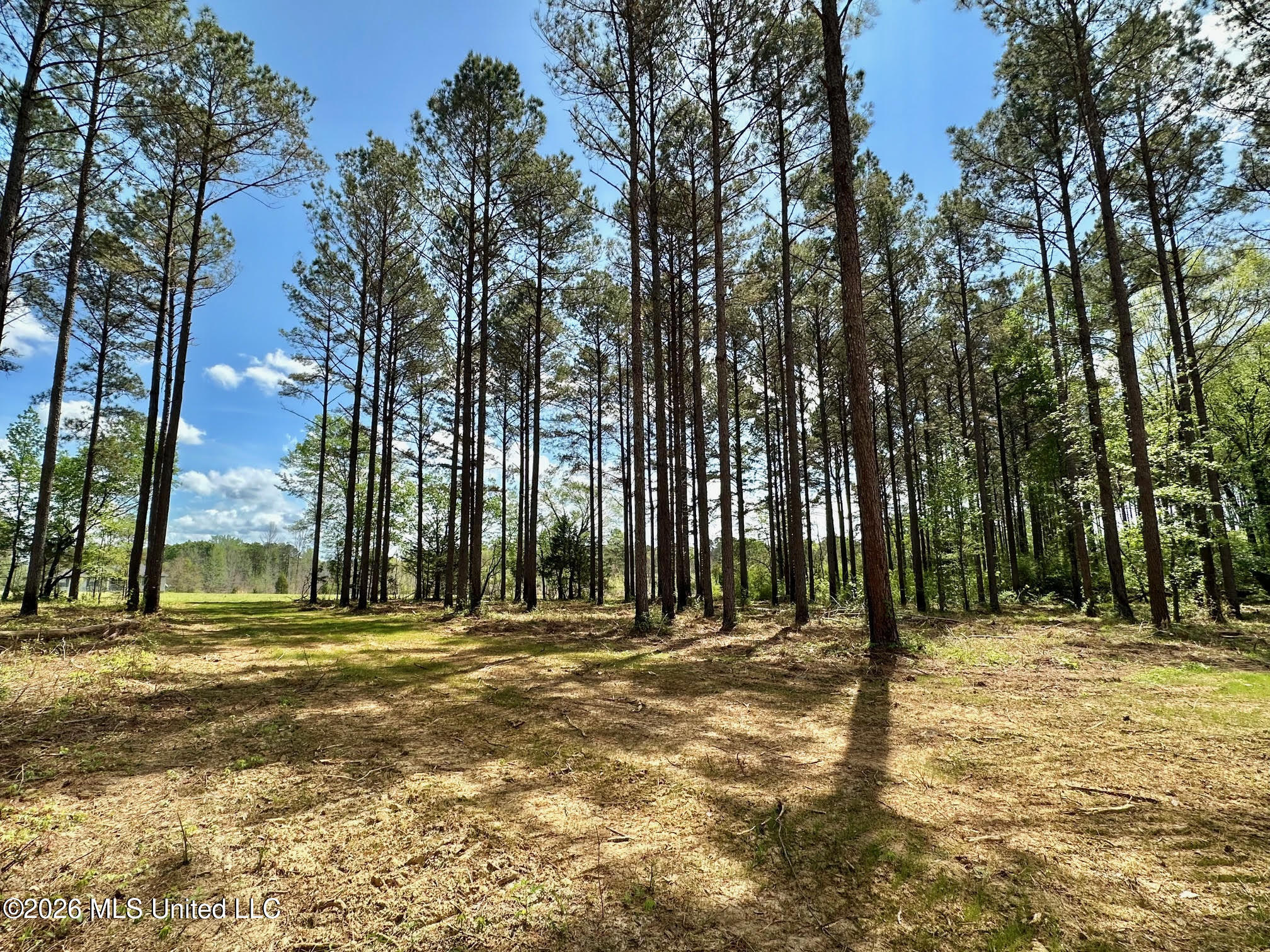 2 Morgan Road Canton, MS 39046 - Photo 5 of 19 5