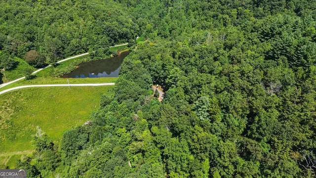 a view of a forest with a houses
