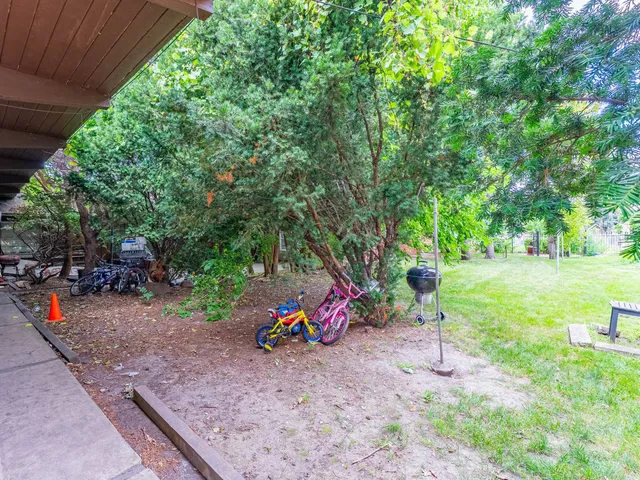 a view of a house with a backyard and a tree