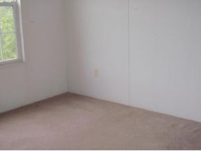 773 Branch Road Fall Branch, TN 37656 - Photo 5 of 6 Photo 5