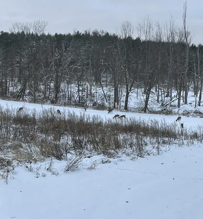 $585,000 | 5111 Reading Road East, Osseo, MI 49266