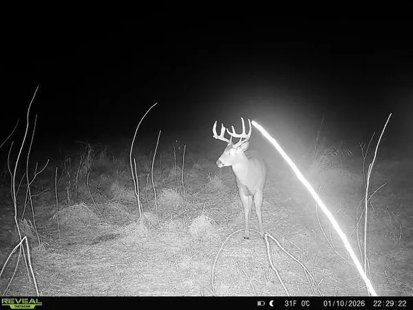 $585,000 | 5111 Reading Road East, Osseo, MI 49266