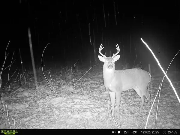 $585,000 | 5111 Reading Road East, Osseo, MI 49266