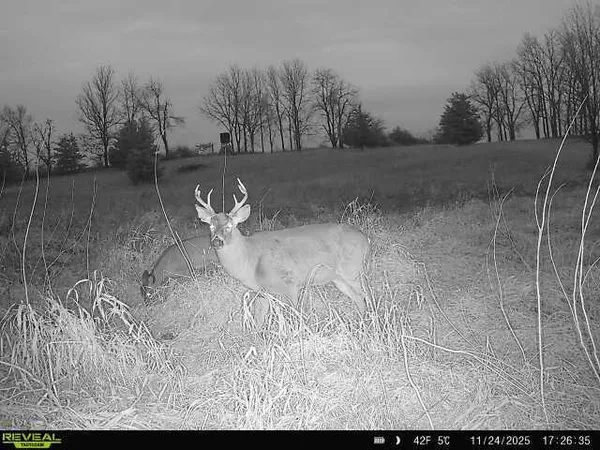 $585,000 | 5111 Reading Road East, Osseo, MI 49266