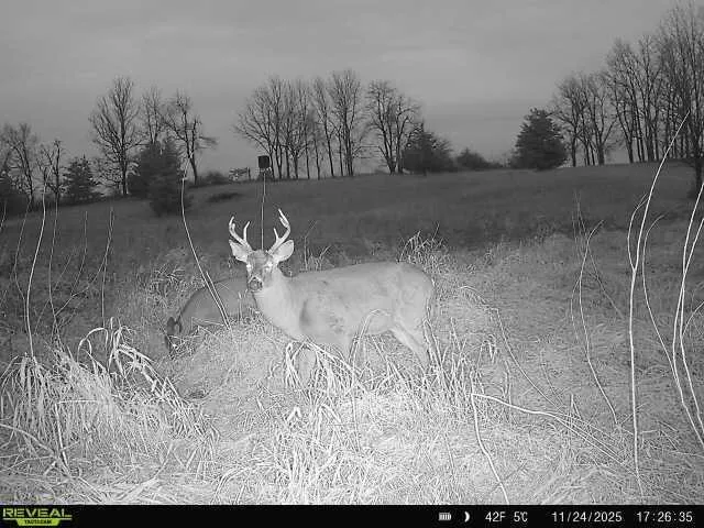 $585,000 | 5111 Reading Road East, Osseo, MI 49266